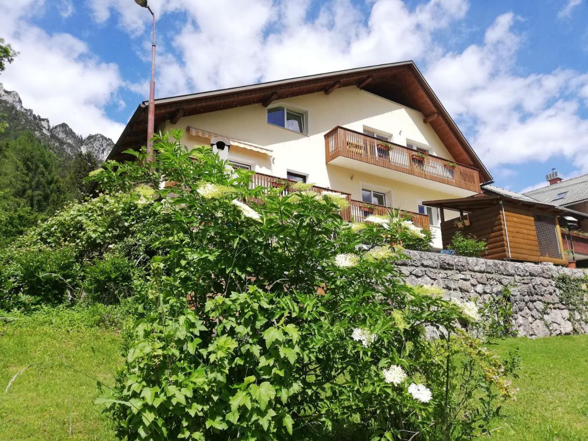 Apartments Mas Dovje Екстериор снимка