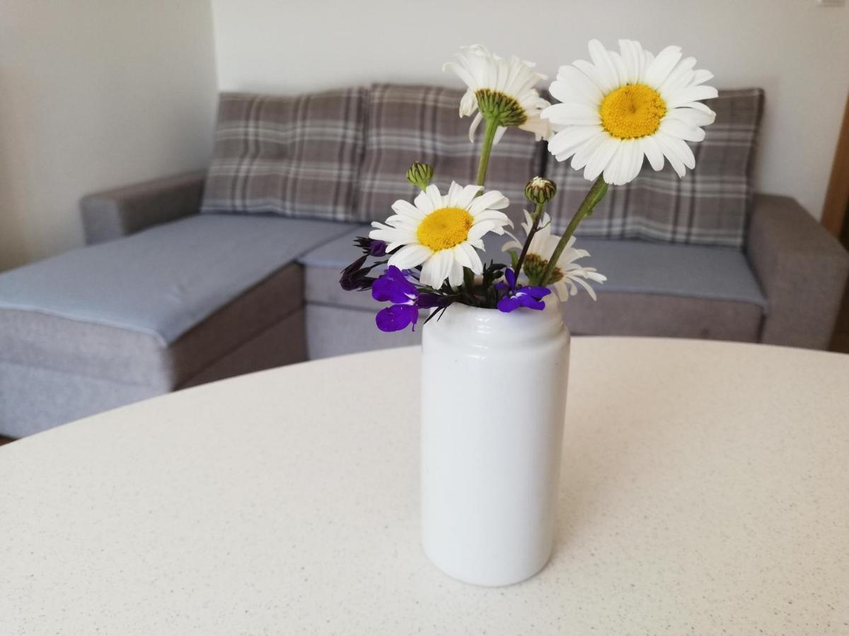 Apartments Mas Dovje Екстериор снимка